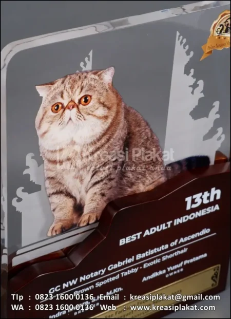 PK166 Plakat Kayu Feline Fanciers Federation Annual Award